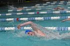 Swimming vs Babson  Wheaton College Swimming & Diving vs Babson College. - Photo By: KEITH NORDSTROM : Wheaton, Swimming